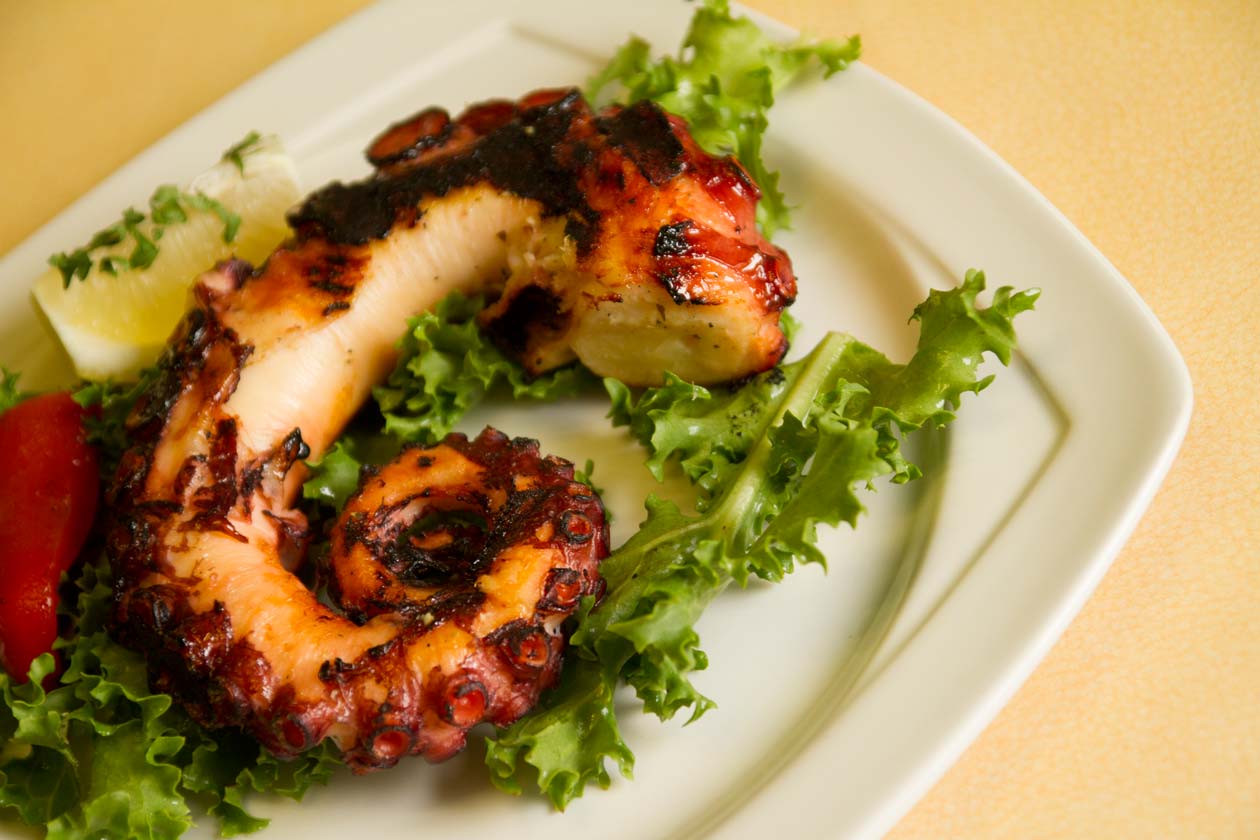 Grilled Octopus