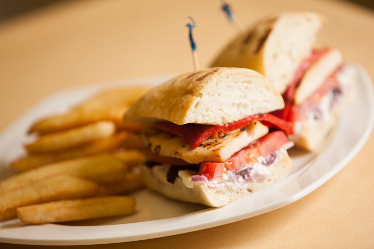 Greek Chicken Panini with fries